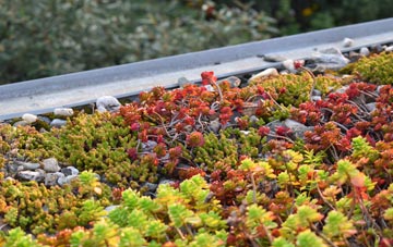 the cost of Pontllyfni green roof installation