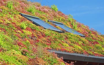 Pontllyfni living roof systems